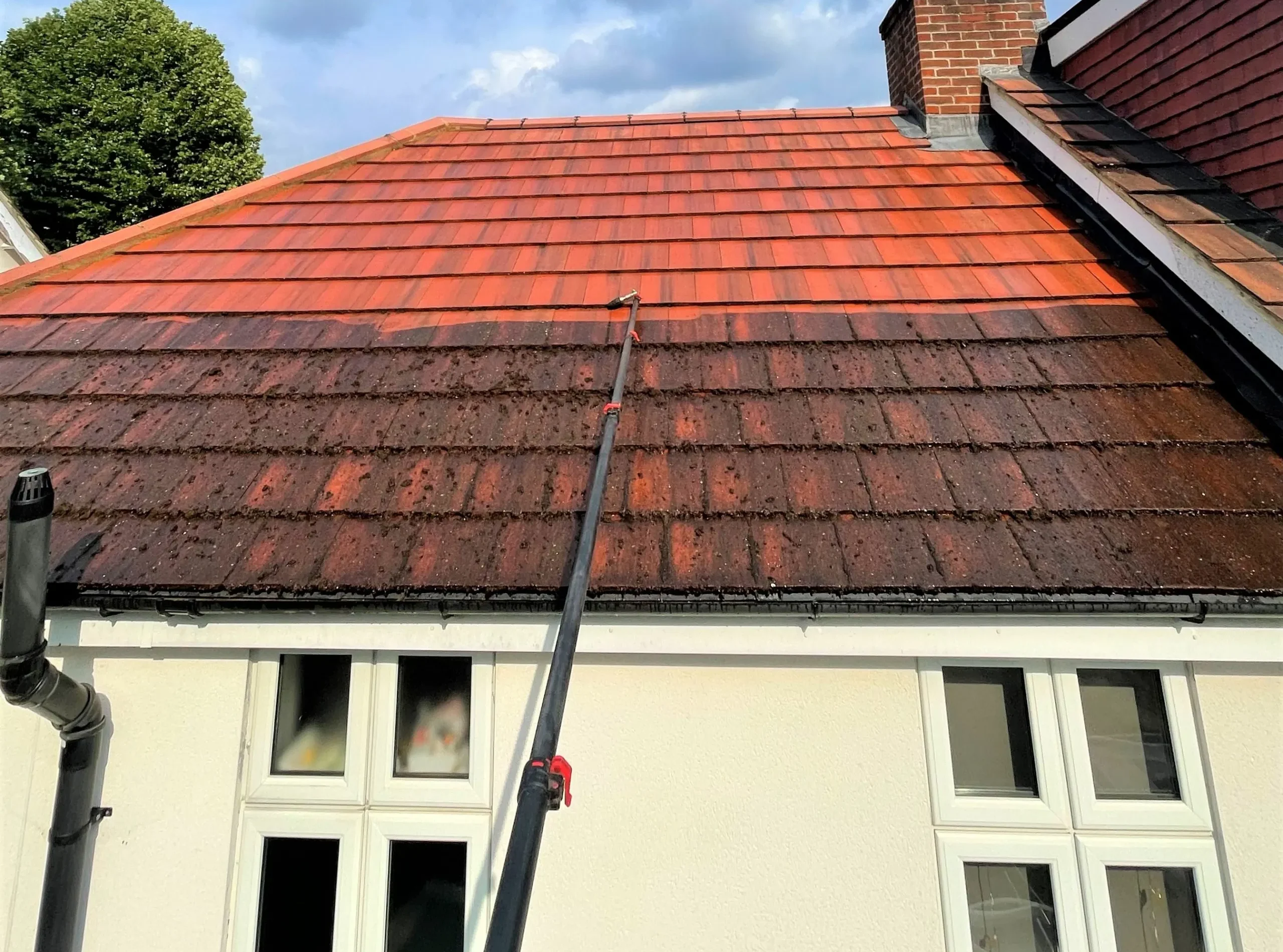 Roof Cleaning